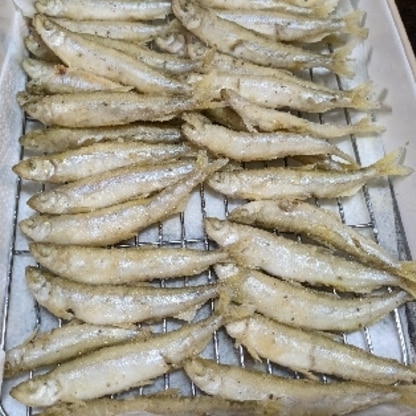 初めてわかさぎをお料理しました。粉と魚の割合が違ったのか、見た目が全く違ってしまいました。でも、美味しくいただきました。ありがとうございました。